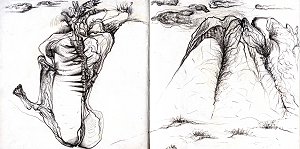 placard_au-bord-4 - copie