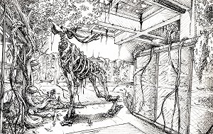 1e Illustration-encre de chine-E.Stoll