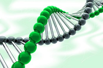 090211_Biomedica-Bild