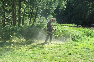 Photo Balsamine (20x30cm_300dpi)