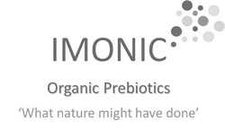 Imonic-Logo